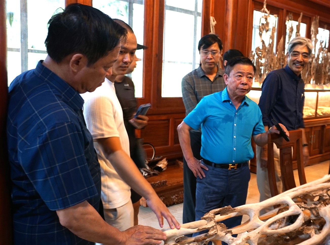 Khảo sát vùng trồng nguyên liệu, sản xuất, tiêu thụ sản phẩm từ cây gió trầm ở huyện Hương Khê