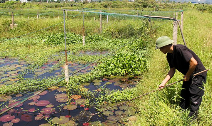 Ngân hàng Chính sách huyện Đức Thọ (Hà Tĩnh) đồng hành cùng người yếu thế