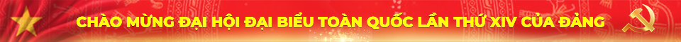 Banner 1