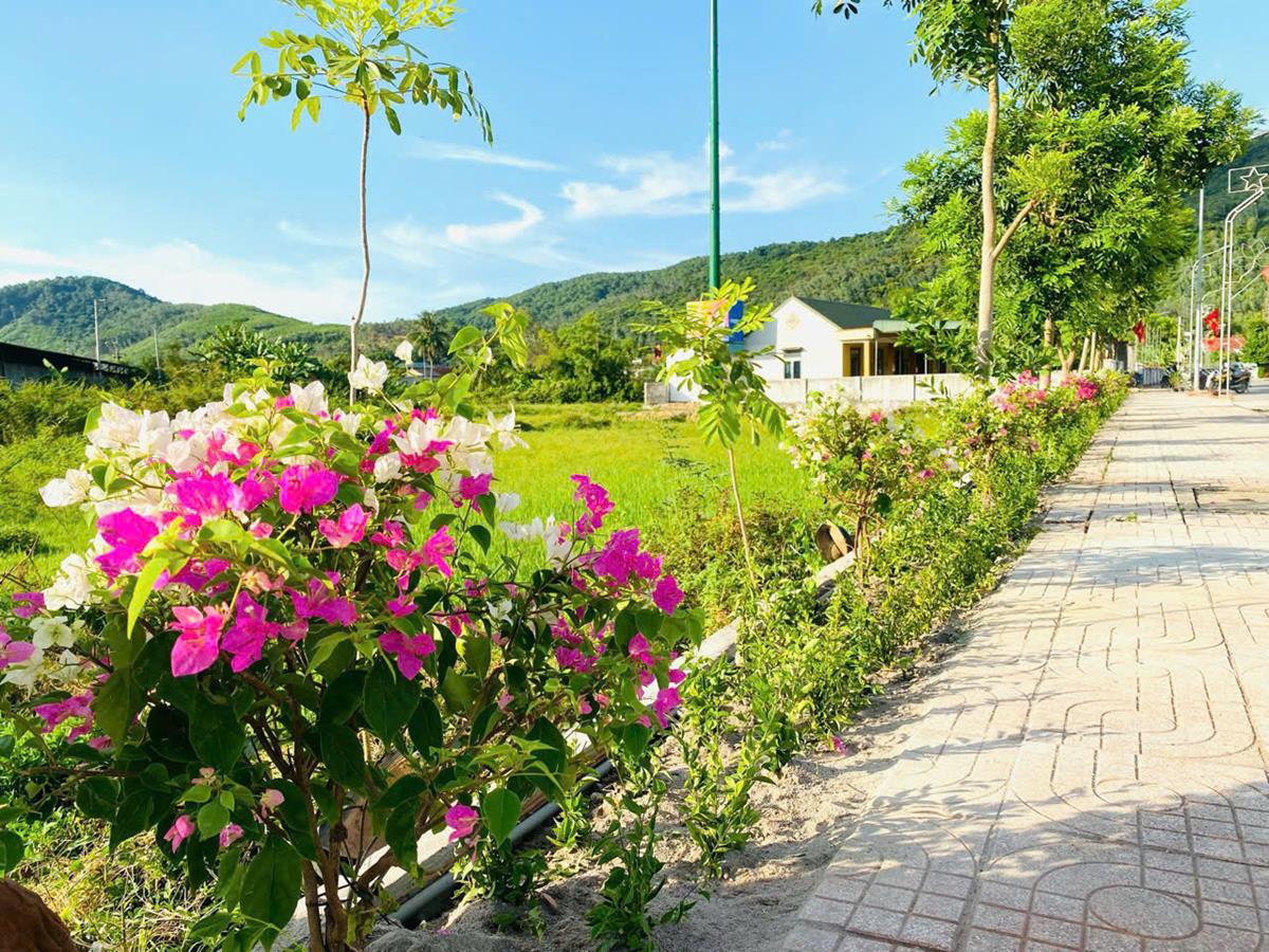 Ra mắt tuyến đường hoa đô thị ở phường Đức Thuận - TX Hồng Lĩnh