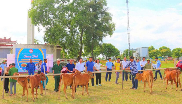 Thạch Hà: Trao tặng bò sinh sản hỗ trợ sinh kế cho hộ nghèo
