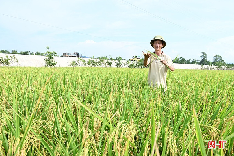 Nghị quyết 57 - đòn bẩy chuyển đổi số ngành nông nghiệp