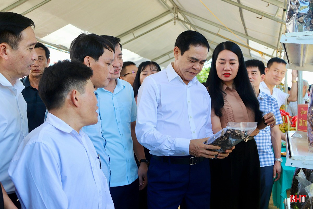 Vũ Quang cần tăng cường quảng bá, giới thiệu các sản phẩm nông nghiệp tiêu biểu