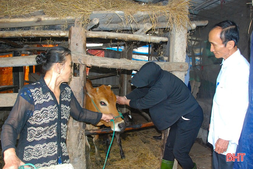 Xử lý nghiêm trường hợp giấu dịch, làm lây lan diện rộng