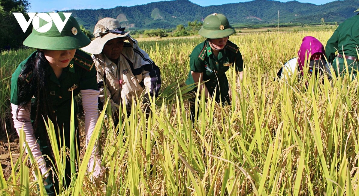 Bộ đội biên phòng làm nên cuộc hồi sinh kỳ diệu ở bản Rào Tre
