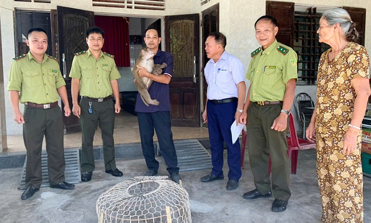 Hà Tĩnh: Người dân phát hiện cá thể khỉ vàng quý hiếm trong vườn nhà