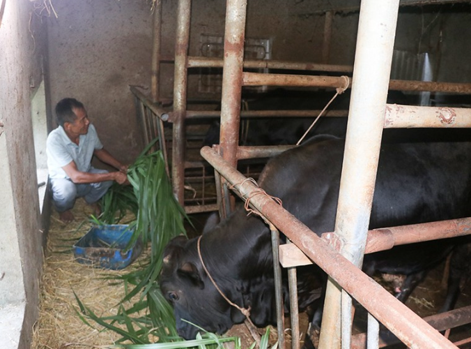Tùng Lộc: Vốn xóa đói giảm nghèo giúp người dân thay đổi cuộc sống