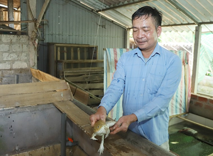 Cẩm Xuyên: Làm giàu từ mô hình chăn nuôi tổng hợp