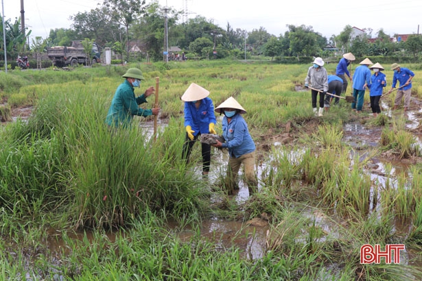 Can Lộc bắt tay dồn điền đổi thửa hơn 1.100 ha ruộng vụ xuân 2022