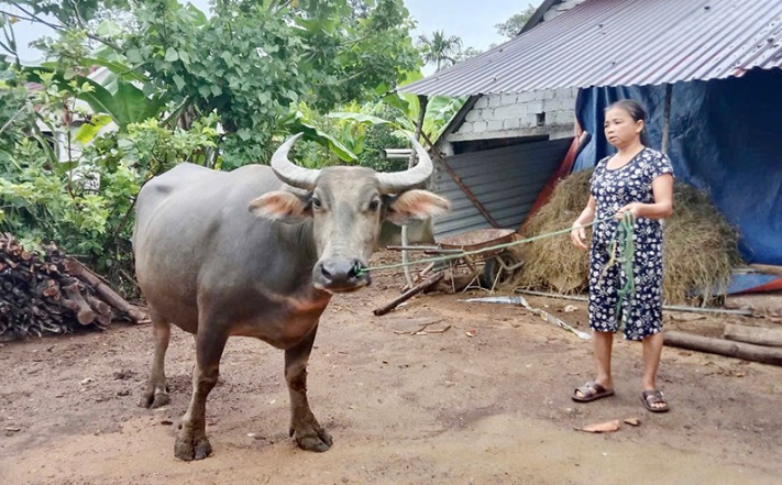 Đức Liên: Trao sinh kế cho hộ nghèo, cận nghèo trên địa bàn