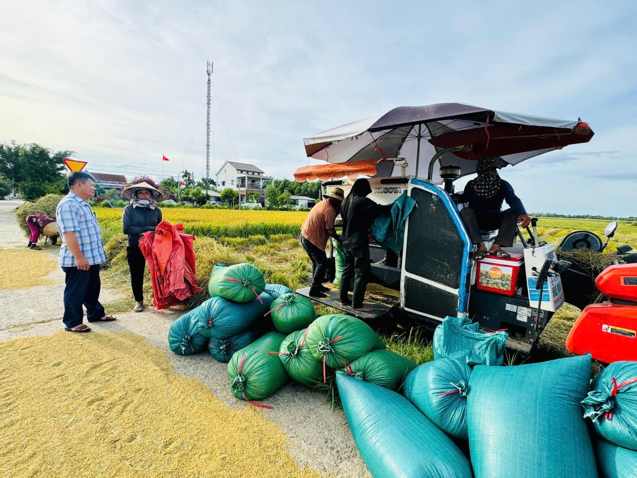 Cẩm Xuyên bước vào mùa vàng bội thu