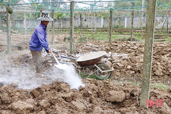 Vùng lũ Cẩm Xuyên khôi phục hơn 94% diện tích vụ đông