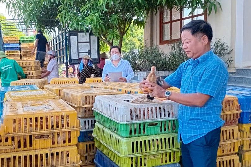 Thạch Hà: Từ mô hình sinh kế đến hành trình thoát nghèo