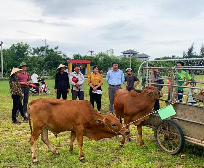 Trao tặng mô hình sinh kế cho các hộ khó khăn trên địa bàn Thị xã Kỳ Anh