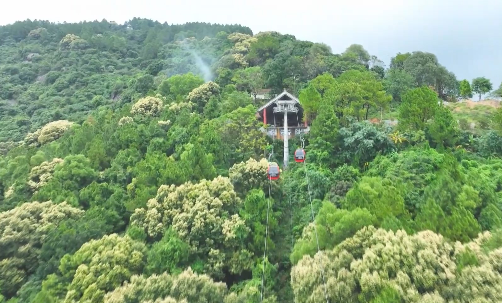 Mùa hoa Dẻ lại về trên đỉnh chùa Hương Tích