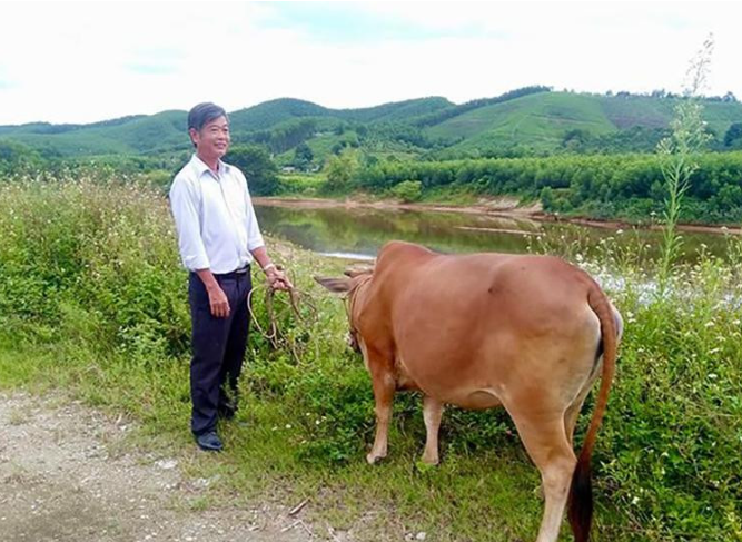 Hỗ trợ gia đình khó khăn xây dựng 41 mô hình sinh kế trên địa bàn huyện Vũ Quang