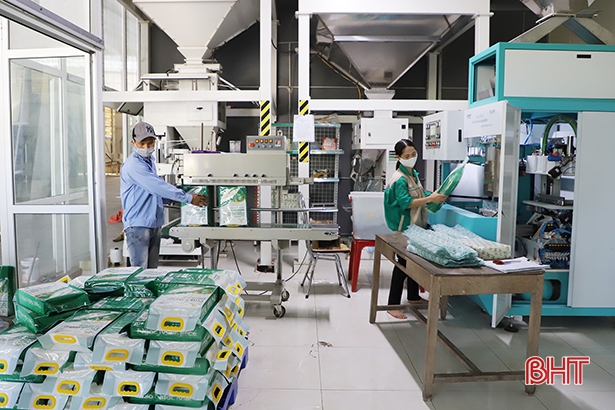 Hơn 100 gian hàng đã sẵn sàng tham gia Hội chợ sản phẩm OCOP và đặc sản Hà Tĩnh
